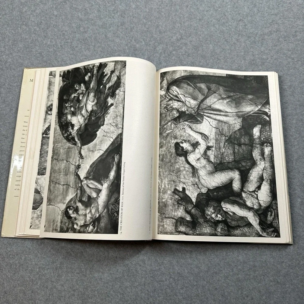Michelangelo Complete Edition Book Goldscheider Phaidon Vintage Art HC DJ‎